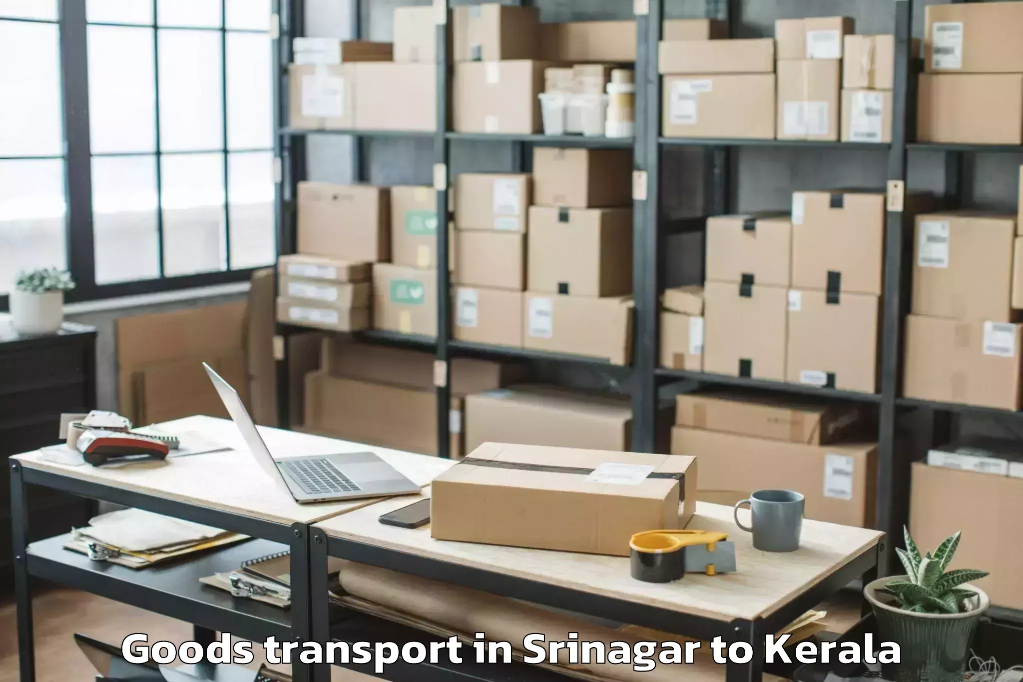 Discover Srinagar to Devikulam Goods Transport